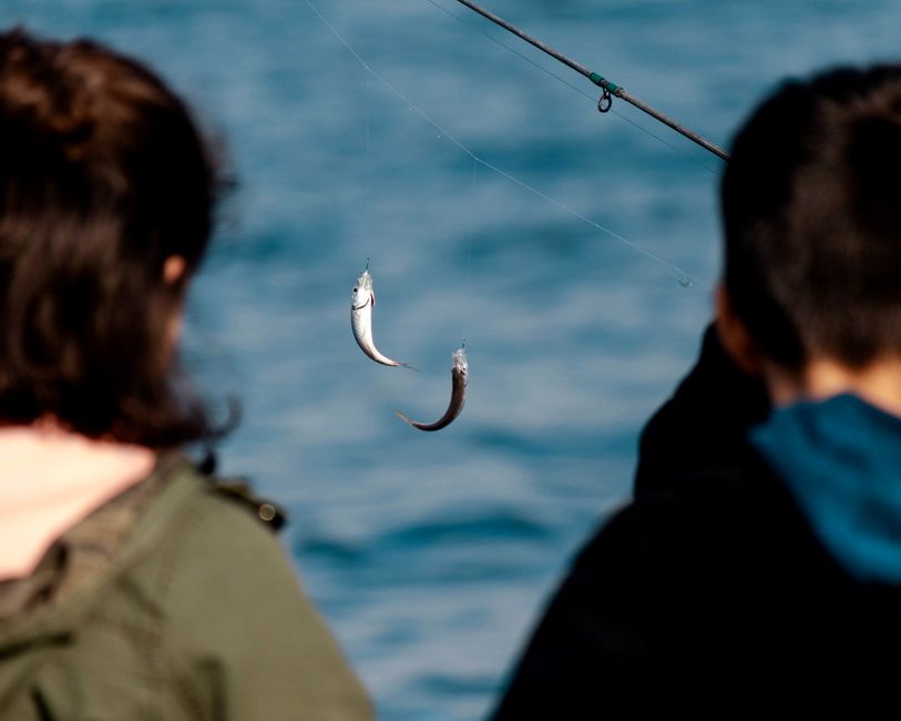 Illustration related to fishing