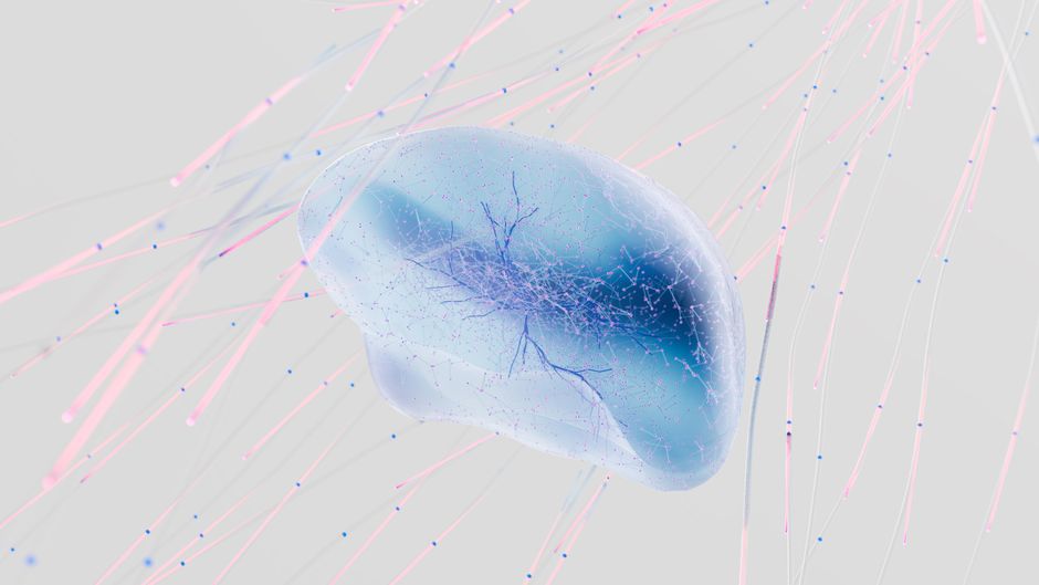 Illustration related to neuron