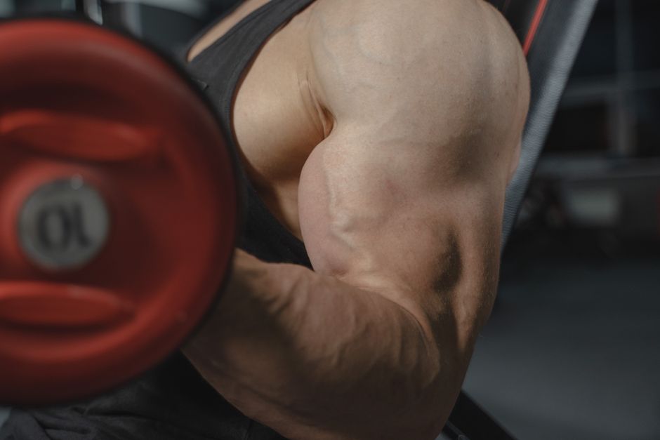 Illustration related to l citrulline