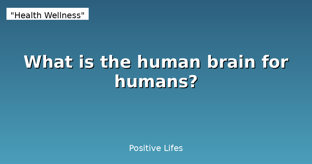 The Human Brain: Functions, Structure & Fascinating Facts