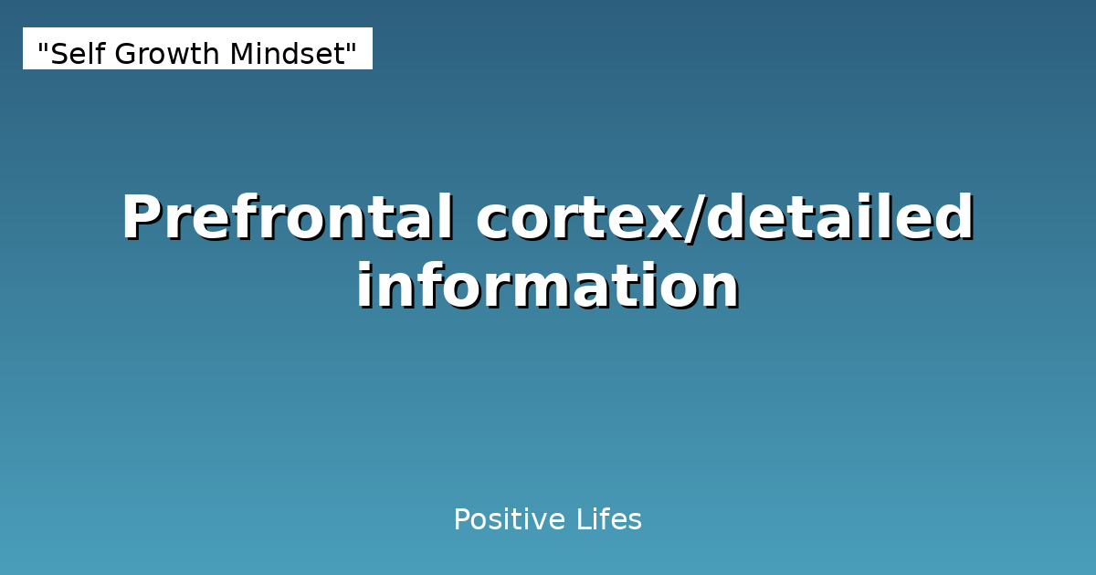 Prefrontal cortex