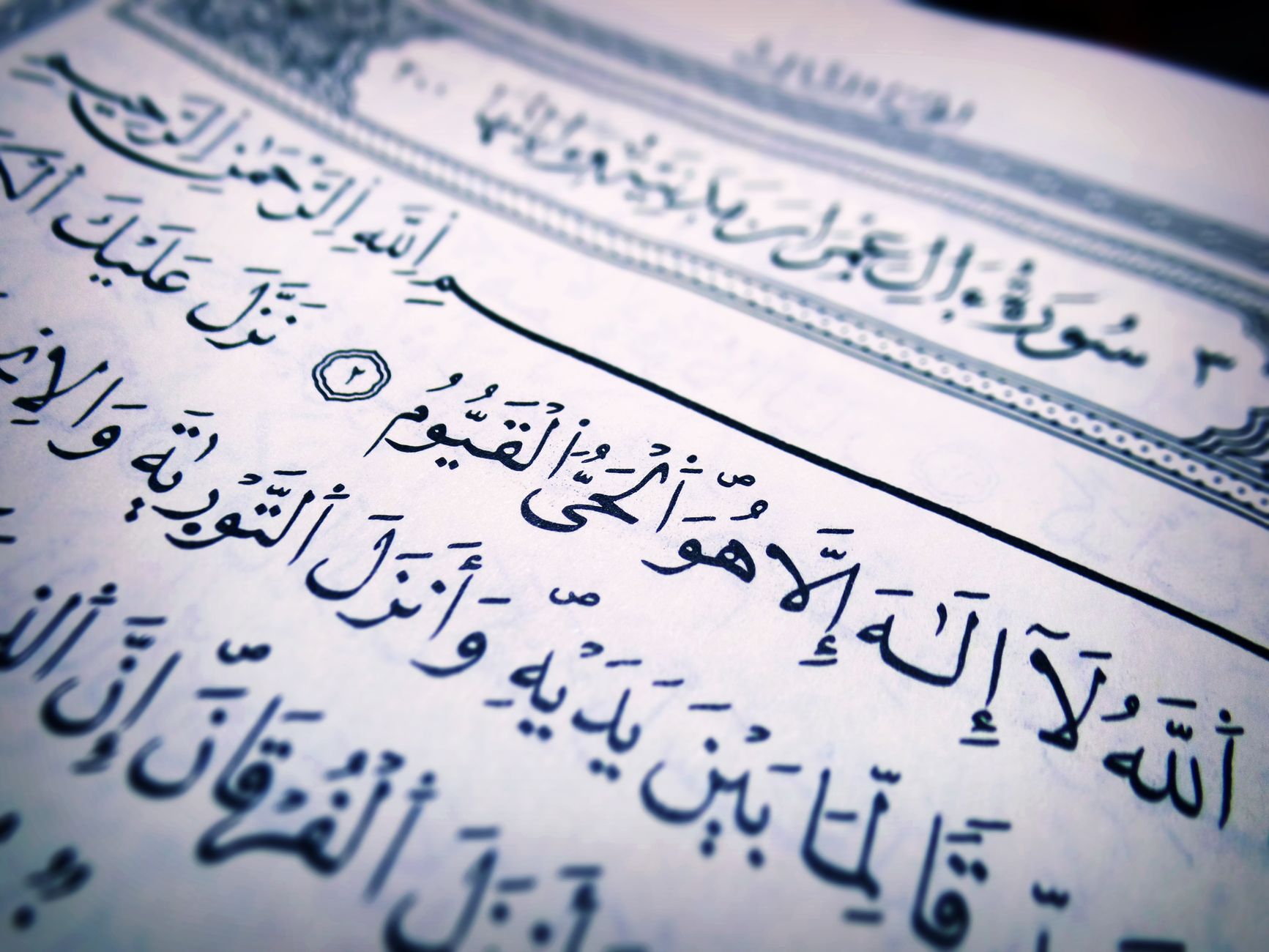 Quran and Islamic calligraphy