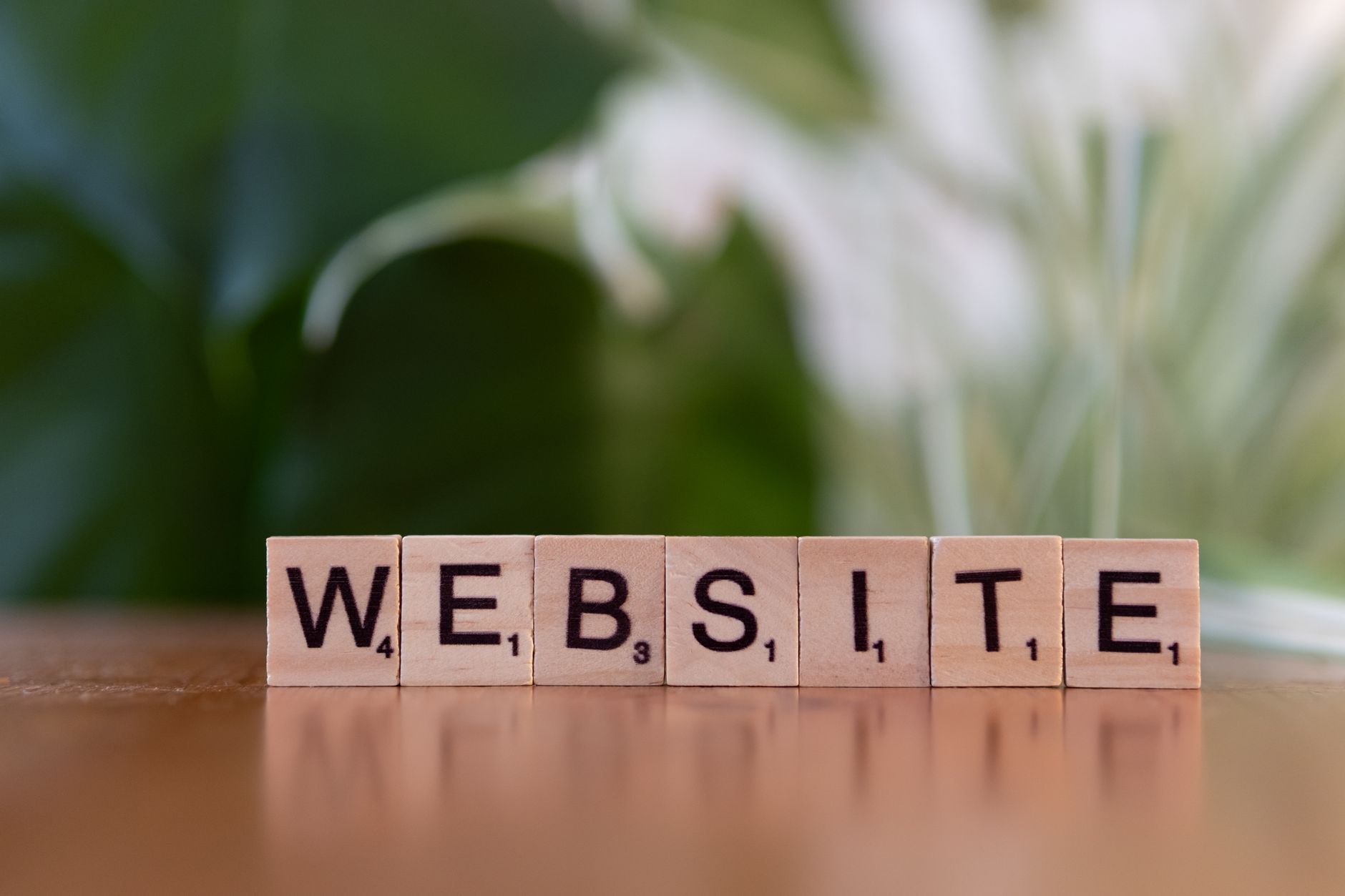 Business website and domain concept